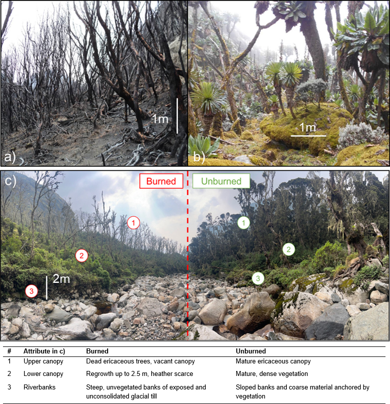 New paper in Natural Hazards and Earth System Sciences